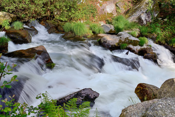 Fototapeta na wymiar blurred image of water in the waterfall