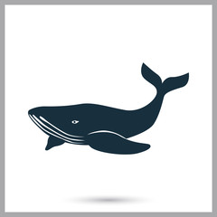Whale icon on the background