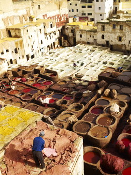 Tannery, Fez, Morocco
