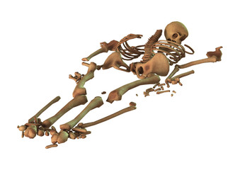 3D Rendering Human Skeleton on White