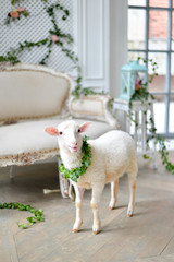 lamb with wreath on neck