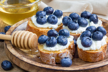 Crostini with ricotta cheese, blueberries and honey