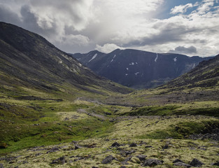 Mountain tundra with mosses and rocks covered with lichens, Hibiny mountains above the Arctic circle, Kola peninsula, Russia