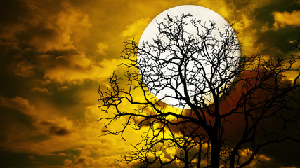 Halloween night ; A dark tree against a full moon with clouds in