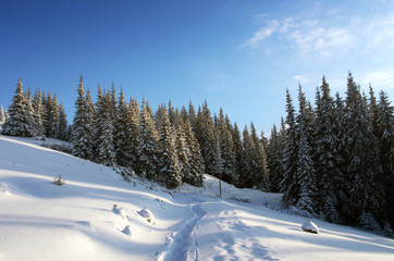 Majestic winter landscape glowing by sunlight in the morning. Dr