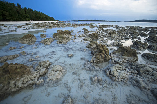 India, Andaman Islands, Havelock, white sand beach number 5 at low tide at sunrise