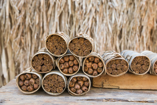 Tobacco Farming Practices in Cuba