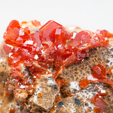 druse of red vanadinite crystals on stone close up