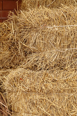 Close up of haystack for background.