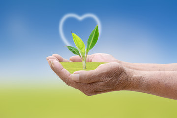 We love the world of ideas, man planted a tree in the hands.People love tree.World Environment Day