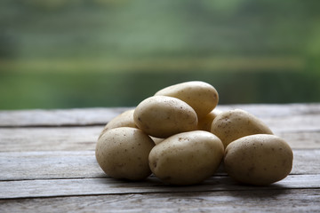 Fototapeta premium Potatoes
