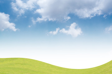 Fototapeta na wymiar Background green grass and blue sky