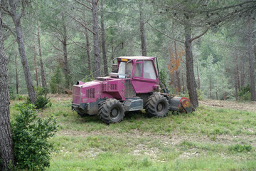 Obraz premium Engin dans la forêt