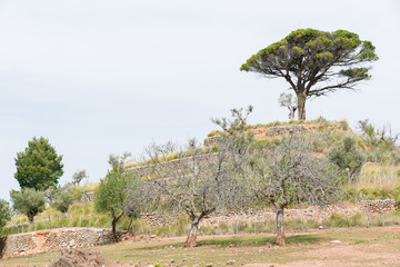 Fototapeta premium Hiking Mallorca GR221