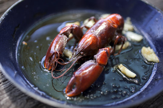Freshwater Yabby (Cherax destructor) cooked in oil with garlic