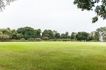 Lawn with blue sky