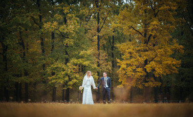 Fototapeta premium Beautiful Wedding photosession on nature
