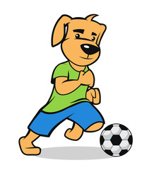  puppy participate on a soccer game