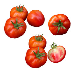 Tomatoes isolated on white background with clipping path.