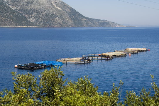 Fish farm for sea bass and sea bream near Vathy (Vathi), Ithaka, Ionian Islands, Greece