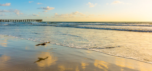 Impressive seascape of Ocean Beach in San Diego, California. Sunset. Bird reflected in the wet sand...