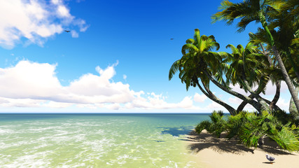 Obraz na płótnie Canvas Untouched tropical sand beach