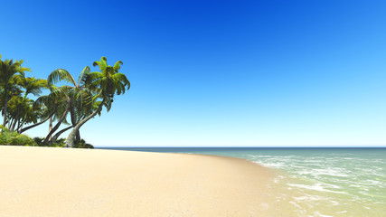 Untouched tropical sand beach