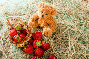 Strawberries in a basket among the straw.