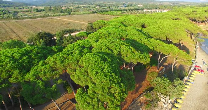 Beautiful aerial view of Tuscany coast in summer, Italy