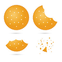 Crunchy Biscuit Crackers in Different Eating Stages