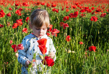 child girl in poppy field