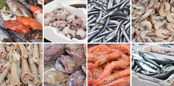 Collage of various fish and seafood