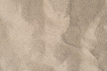 Sand texture. The Fint oasis, Morocco.