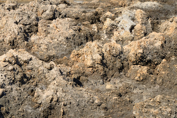 Limestone background close up.