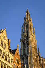 Fototapeta na wymiar Cathedral of Our Lady in the morning light, Antwerp; Belgium