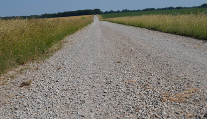 Gravel Road Leading North