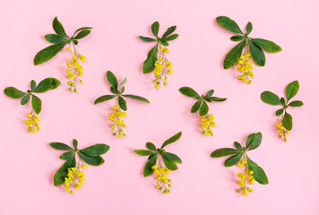 Obraz premium Floral pattern. Yellow flowers on a pink background. Top view.