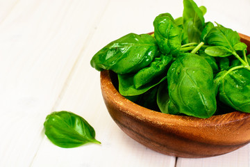 Basil on White Woody Background