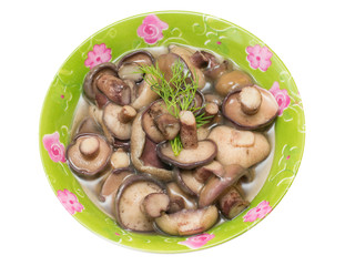 boletus boiled in a cup isolated on white background