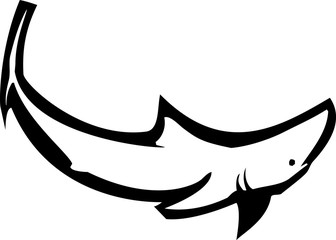 Shark Swimming Alone