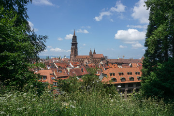 Ansicht des Freiburger Münsters mit Dächern der Stadt vor blauem Himmel