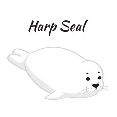 Cute baby seal isolated on white background.