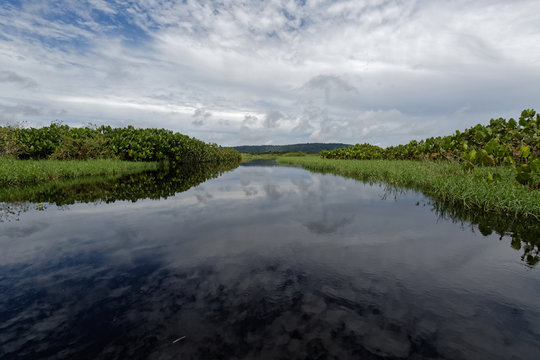 Reflets du ciel sur les rivi&egrave;res des marais de Kaw en Guyane fran&ccedil;aise