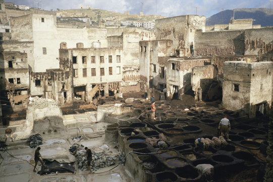 Tannery, Fez, Morocco