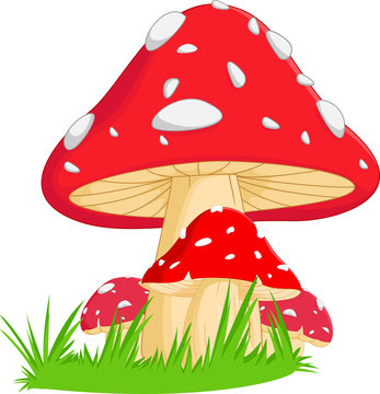 illustration of red mushroom with grass