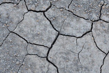 cracked soil