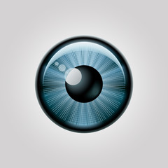 Blue Eye Vector Design