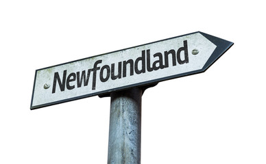 Newfoundland direction sign isolated on white background