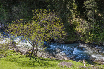 Die Ahr bei Kasern im Hinteren Ahrntal
