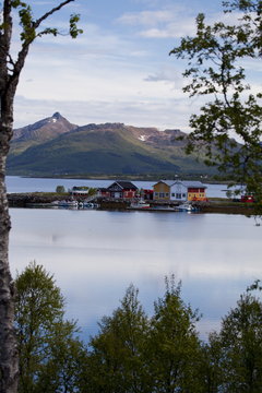 Little harbour in a fjord close to Sortland village, Langoya island, Vesteralen archipelago, Troms Nordland county